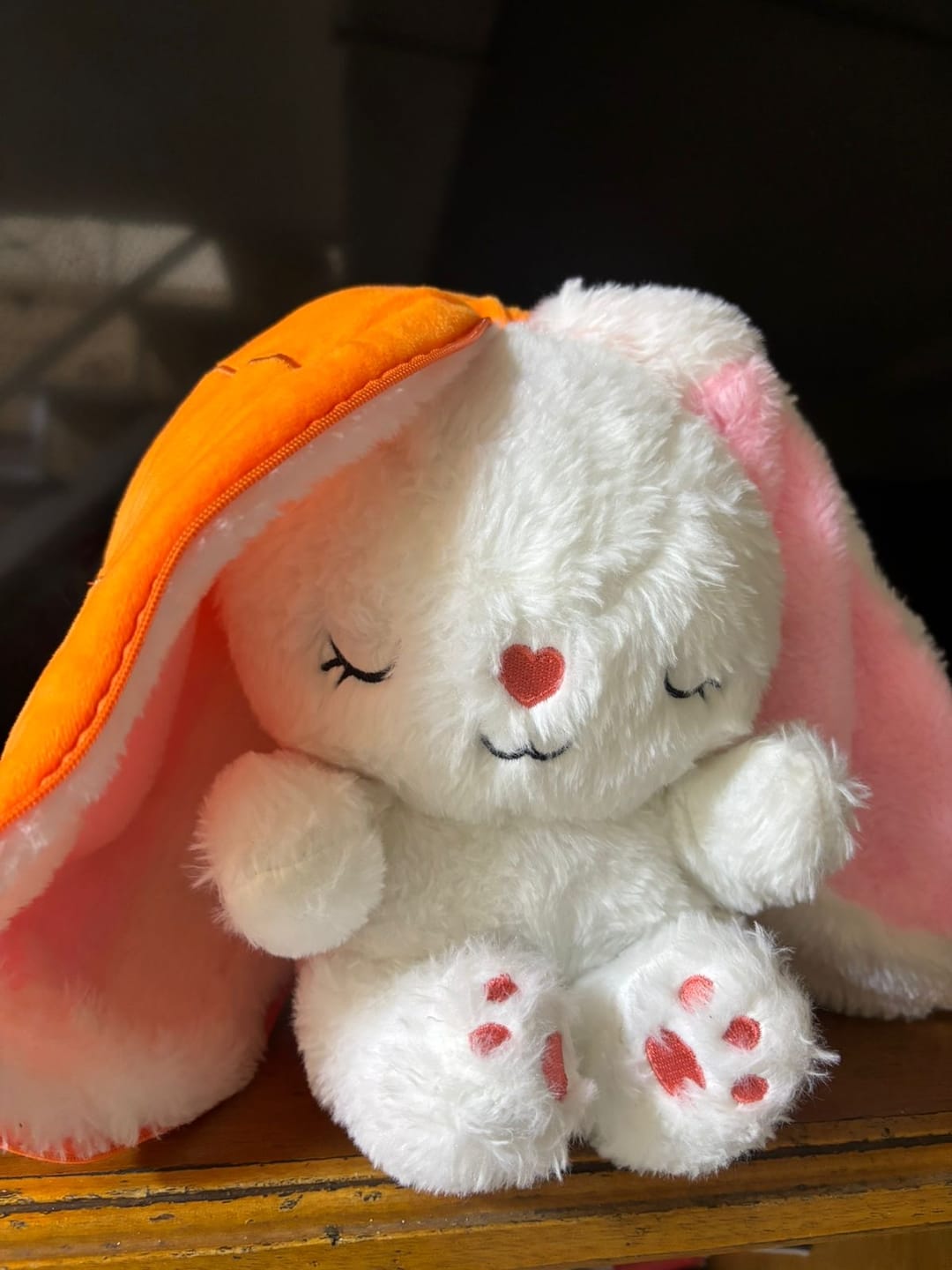 Customer photo review of Dream Bunny: Peluche Antiestrés