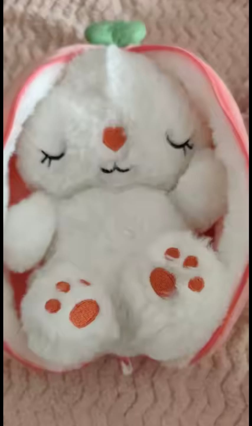 Customer photo review of Dream Bunny: Peluche Antiestrés