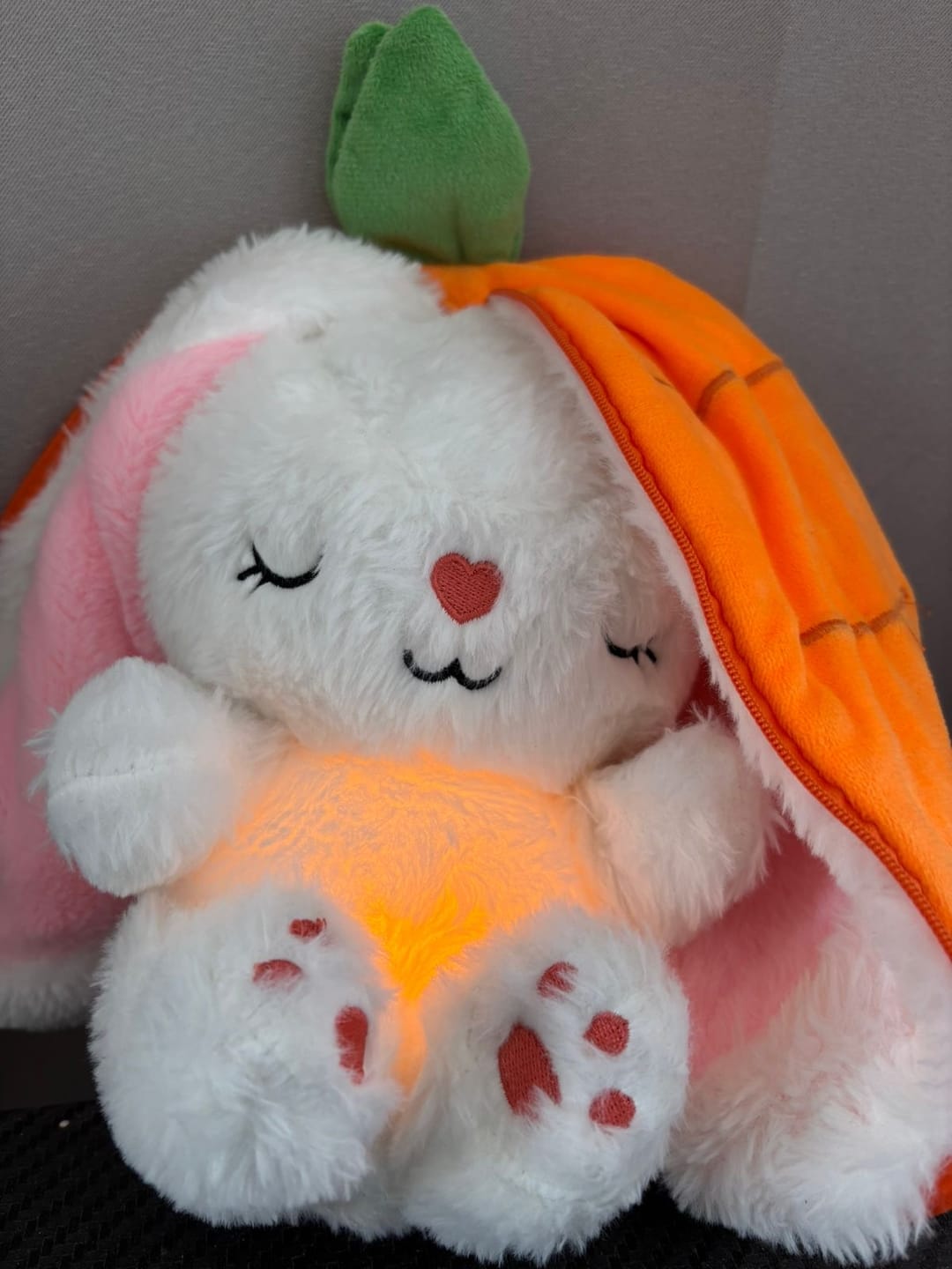 Customer photo review of Dream Bunny: Peluche Antiestrés