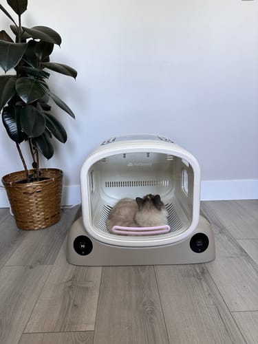 Customer photo review of Pet Dryer Box