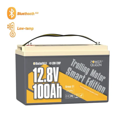 Customer photo review of Power Queen 12V 100Ah Low-temp Smart Deep Cycle Lithium Battery