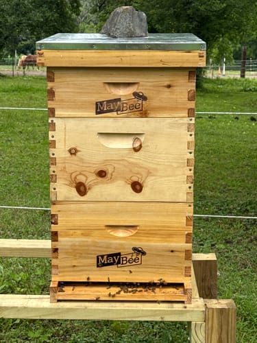 Customer photo review of MayBee Hives Unassemble 10 Frame Medium Super Bee Box Wax Coated Bee Hives Includes Wooden Frames , Waxed Foundations