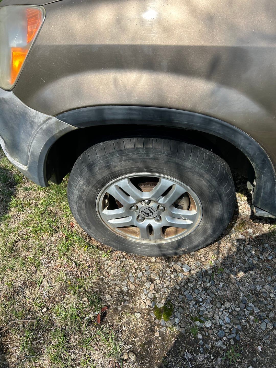 Customer photo review of Airmoto
