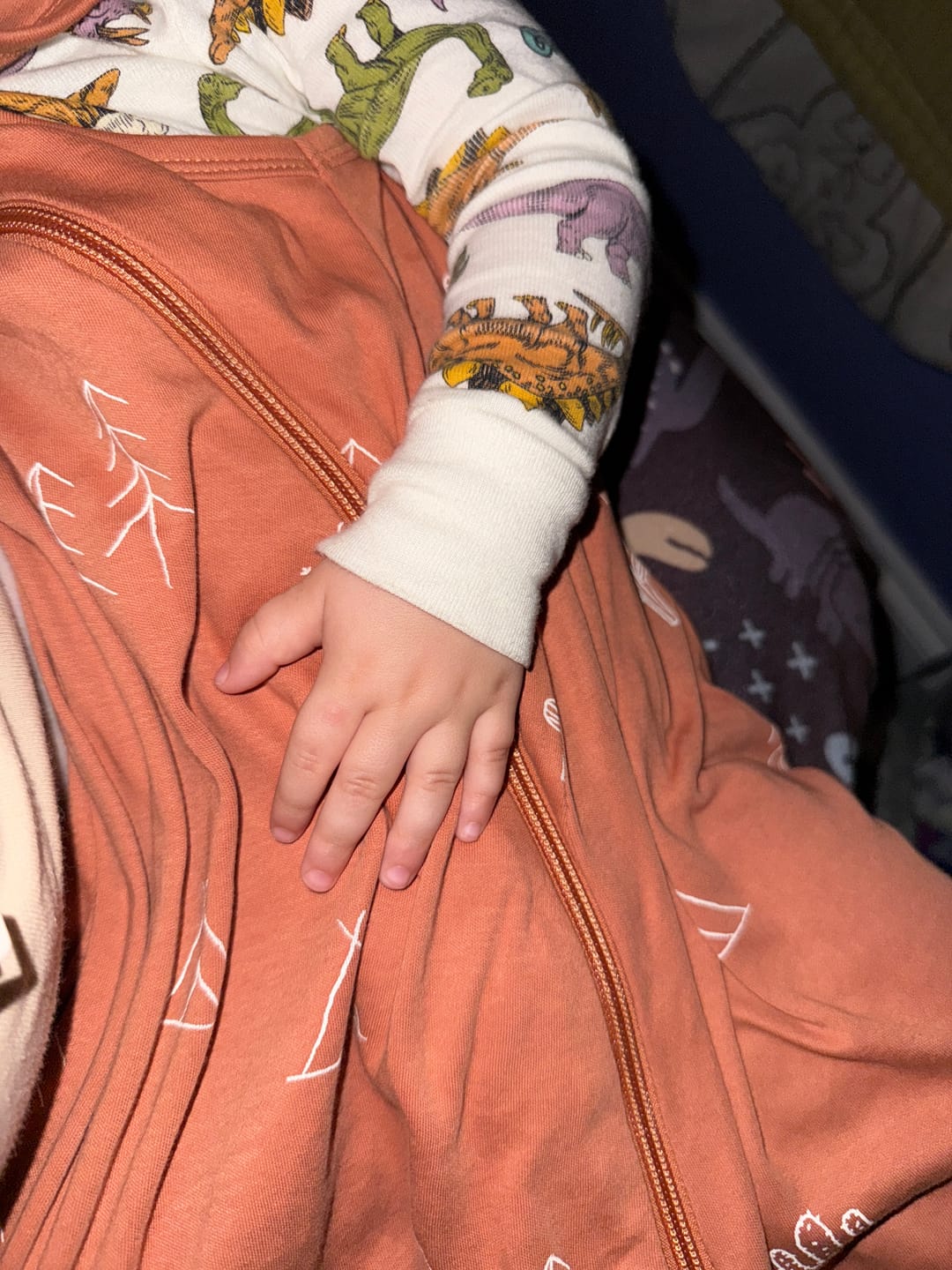 Customer photo review of Ecolino® Organic Cotton Classic Baby Sleep Bag or Sack, Desert