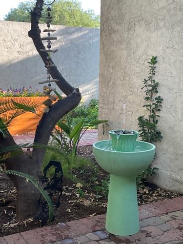 Customer photo review of Alba Cordless Fountain