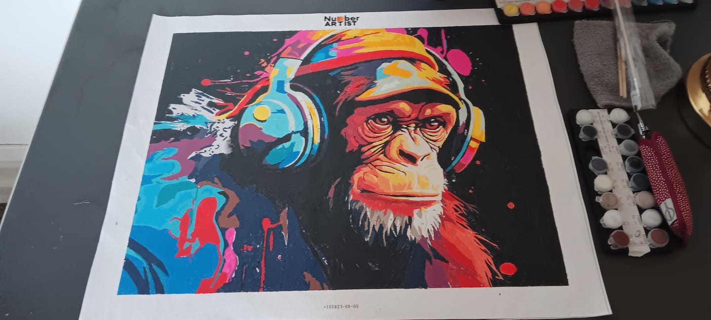 Customer photo review of Hip Hop Chimp