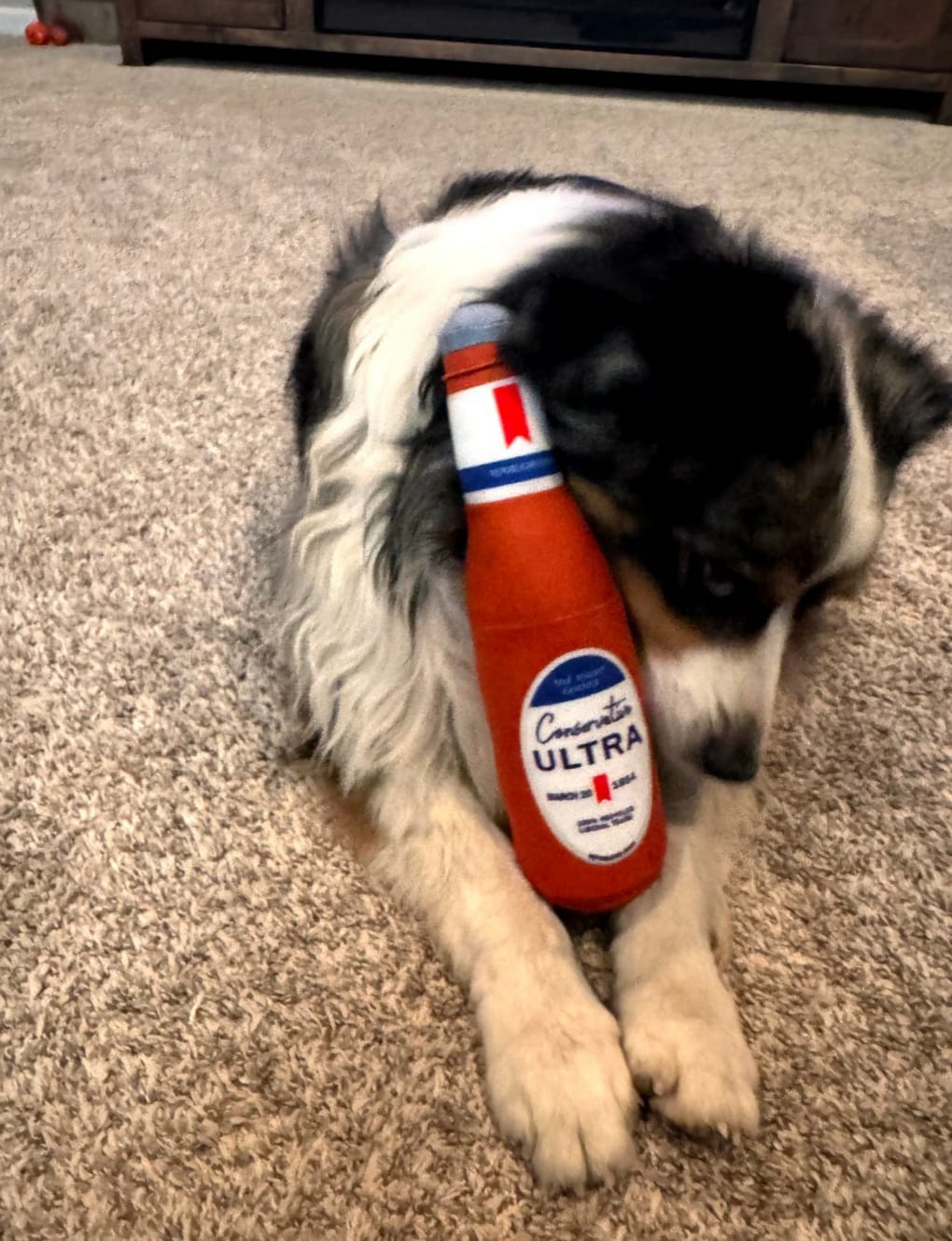 Customer photo review of Conservative Ultra Parody Chew Toy Doll