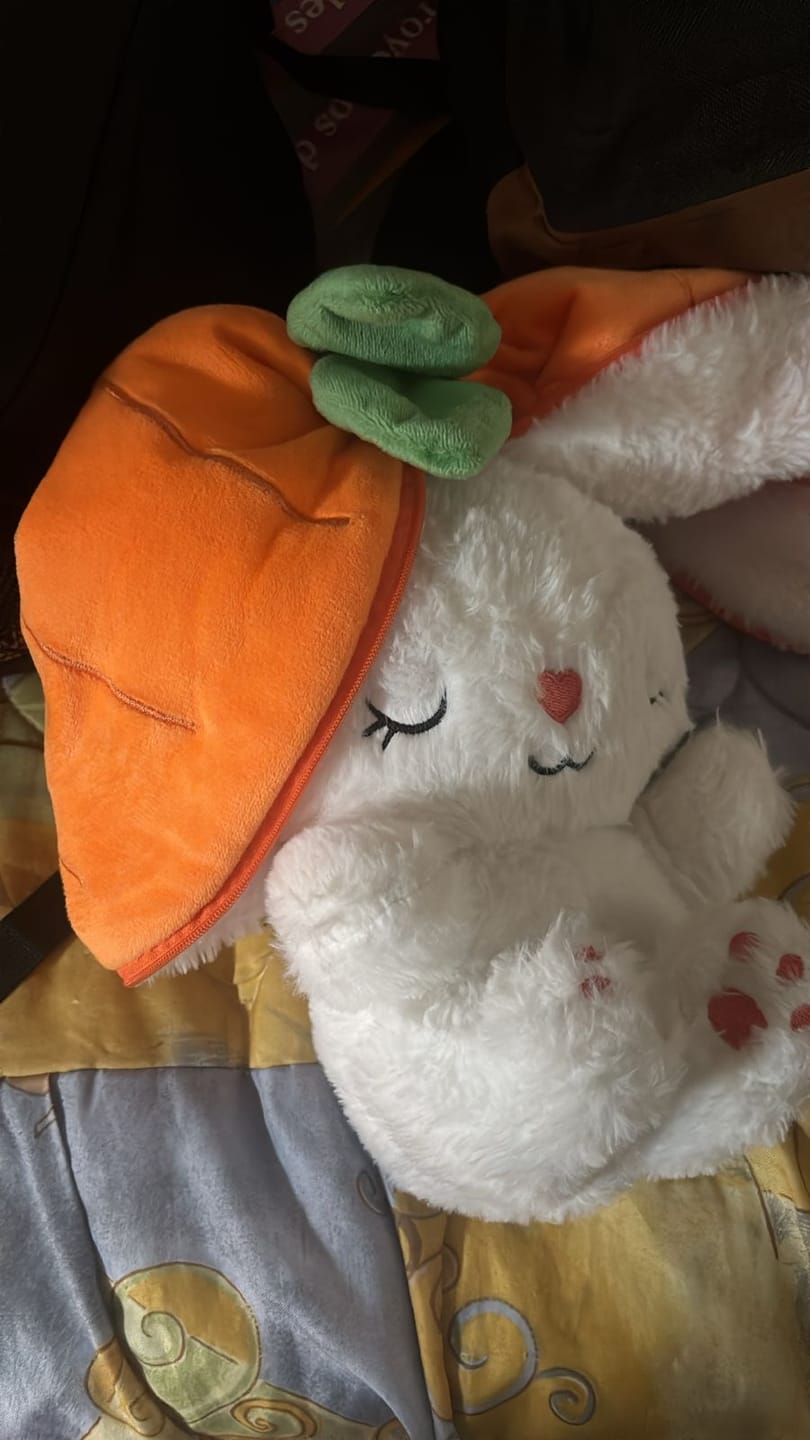 Customer photo review of Dream Bunny: Peluche Antiestrés