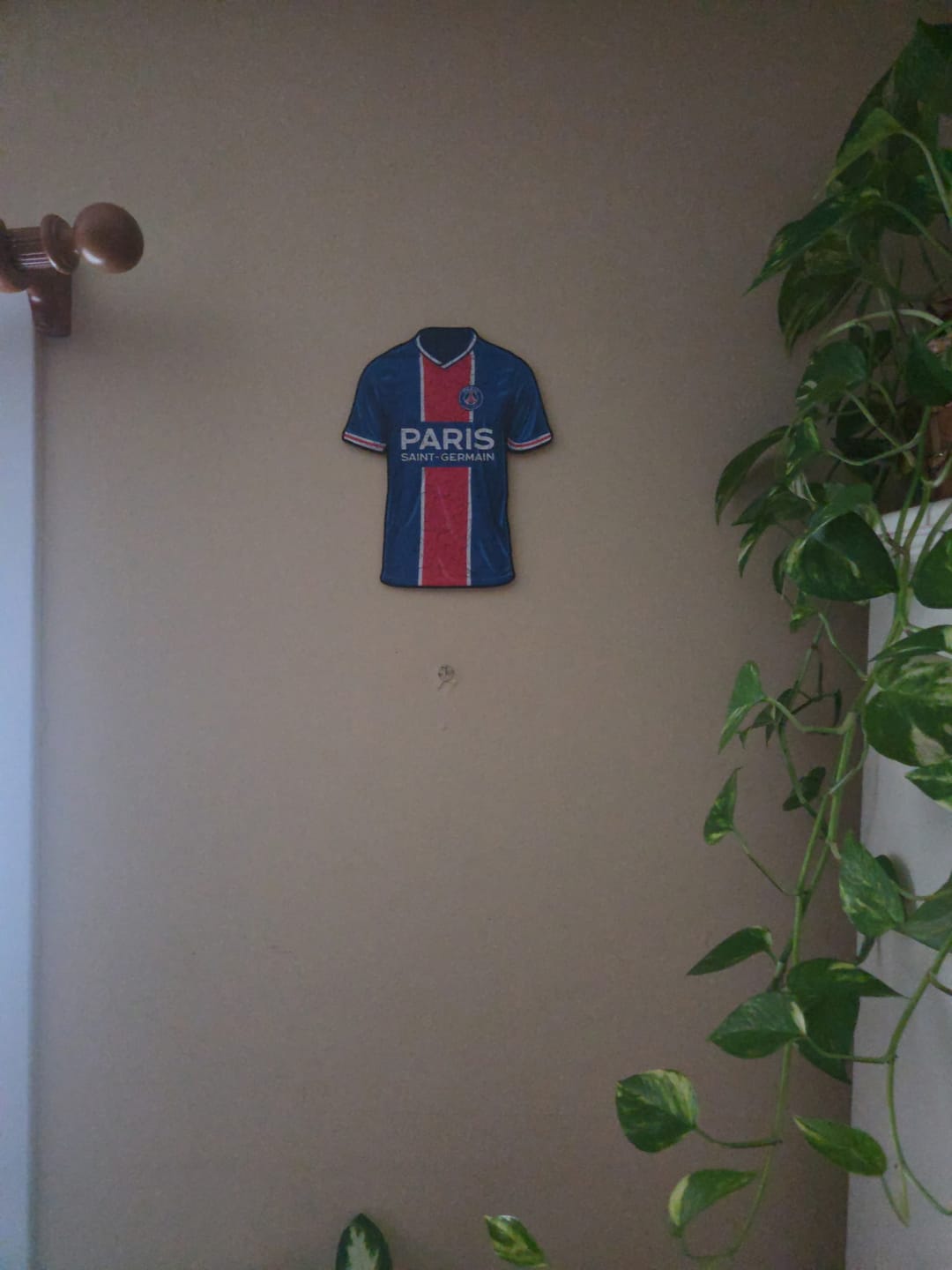 Customer photo review of PSG FC® Jersey - Wooden Puzzle