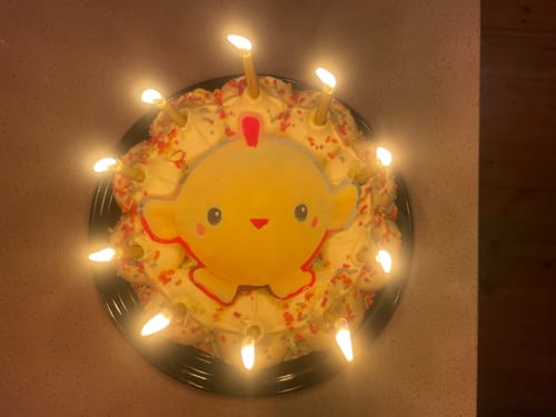 Customer photo review of A5 Rectangle Custom Edible Icing Image