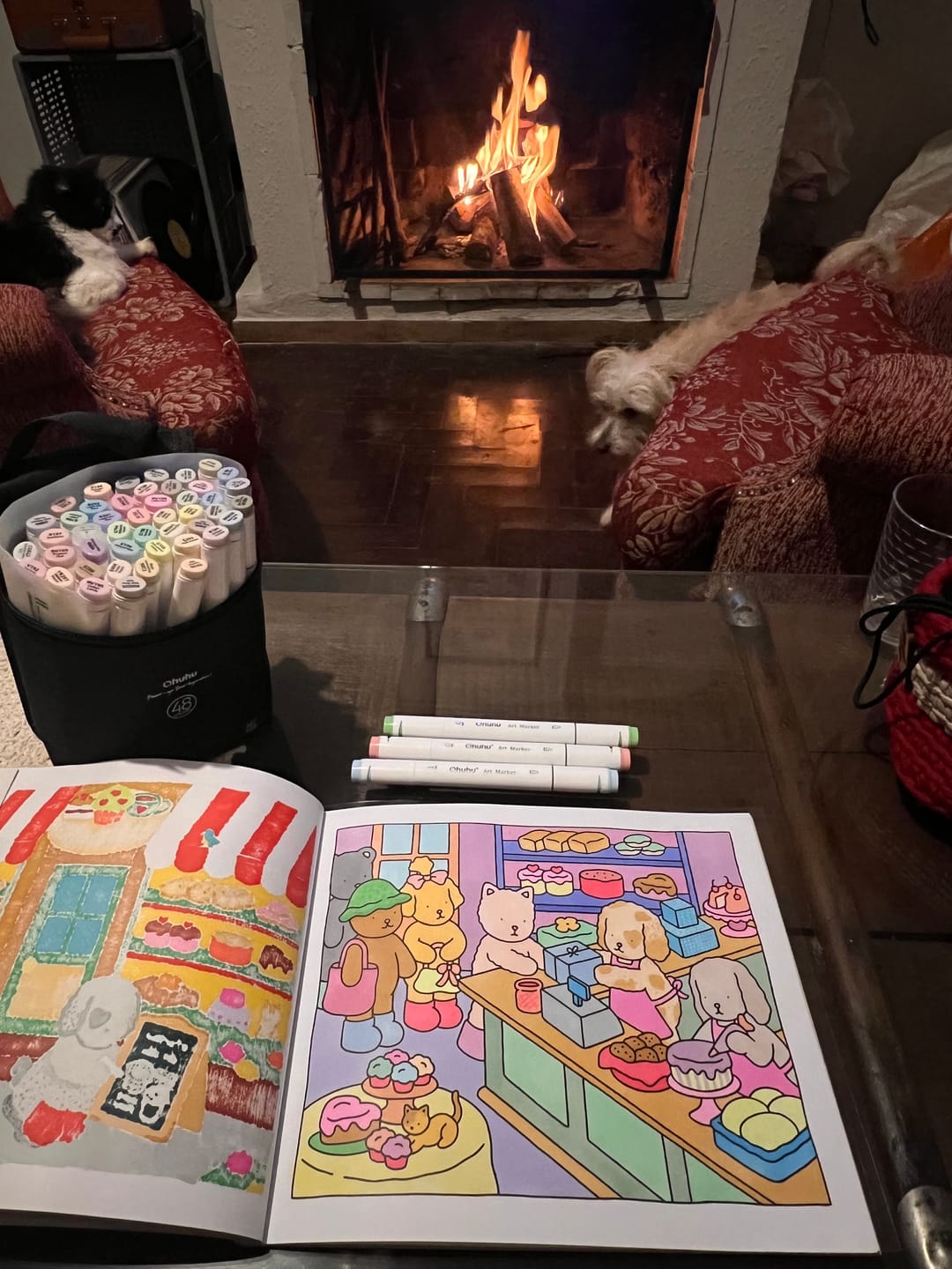 Customer photo review of Ohuhu Oahu 48 Pastel Colors Dual Tips Alcohol Art Markers, Fine & Chisel