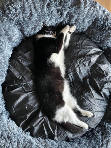 Customer photo review of CalmBed - Motverkar stress & hjälper mot ångest