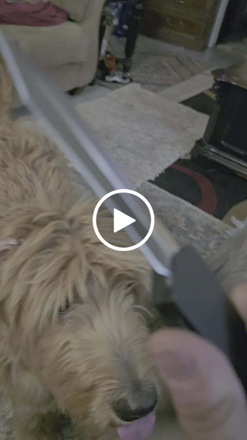Customer video review of Black Ghost OTF Knife - Spartan Blade