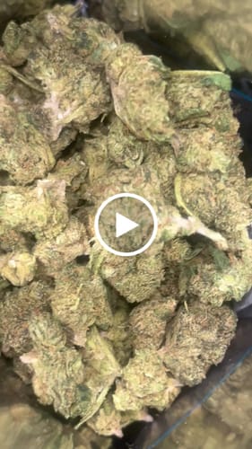 Customer video review of Sherb Cream Pie