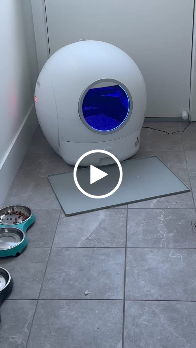 Customer video review of PaWz AutoClean Max Automatic Self Cleaning Cat Litter Box