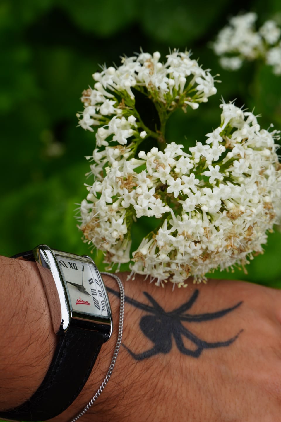 Customer photo review of Minimal Curb Bracelet