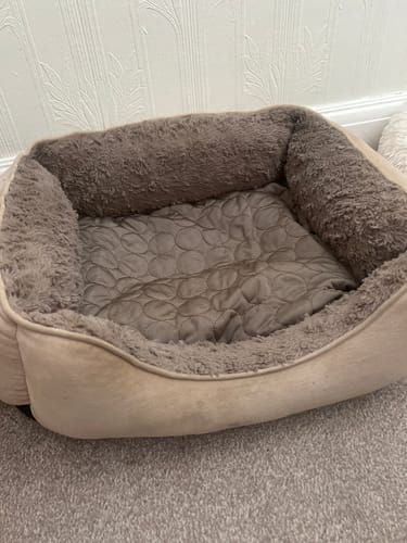 Customer photo review of The Ultimate Cooling Pet Mat