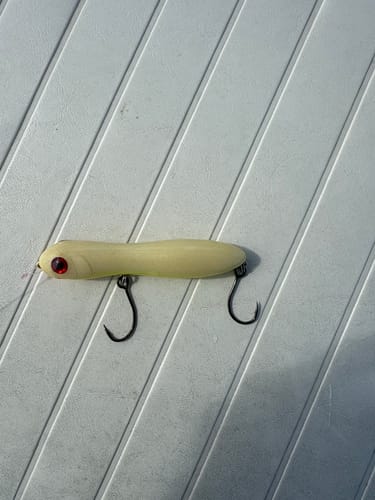 Customer photo review of Mansfield Knockers Lures
