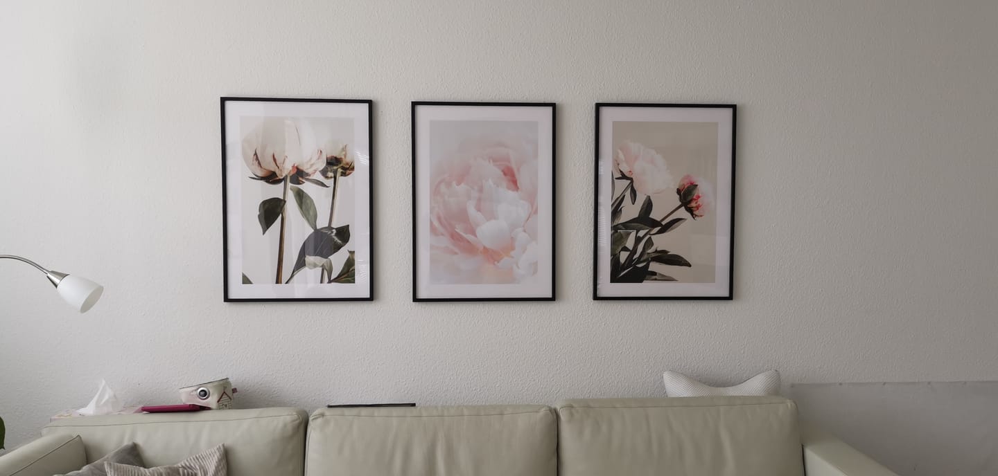 Customer photo review of Blush Peony