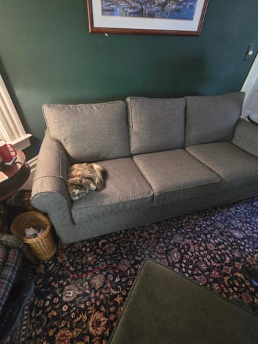 Customer photo review of PB Buchanan Sleeper Sofa Slipcover, Roll Arm, 87"