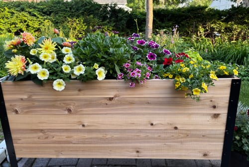Customer photo review of 18" x 48" Raised Garden Bed - 30" TALL
