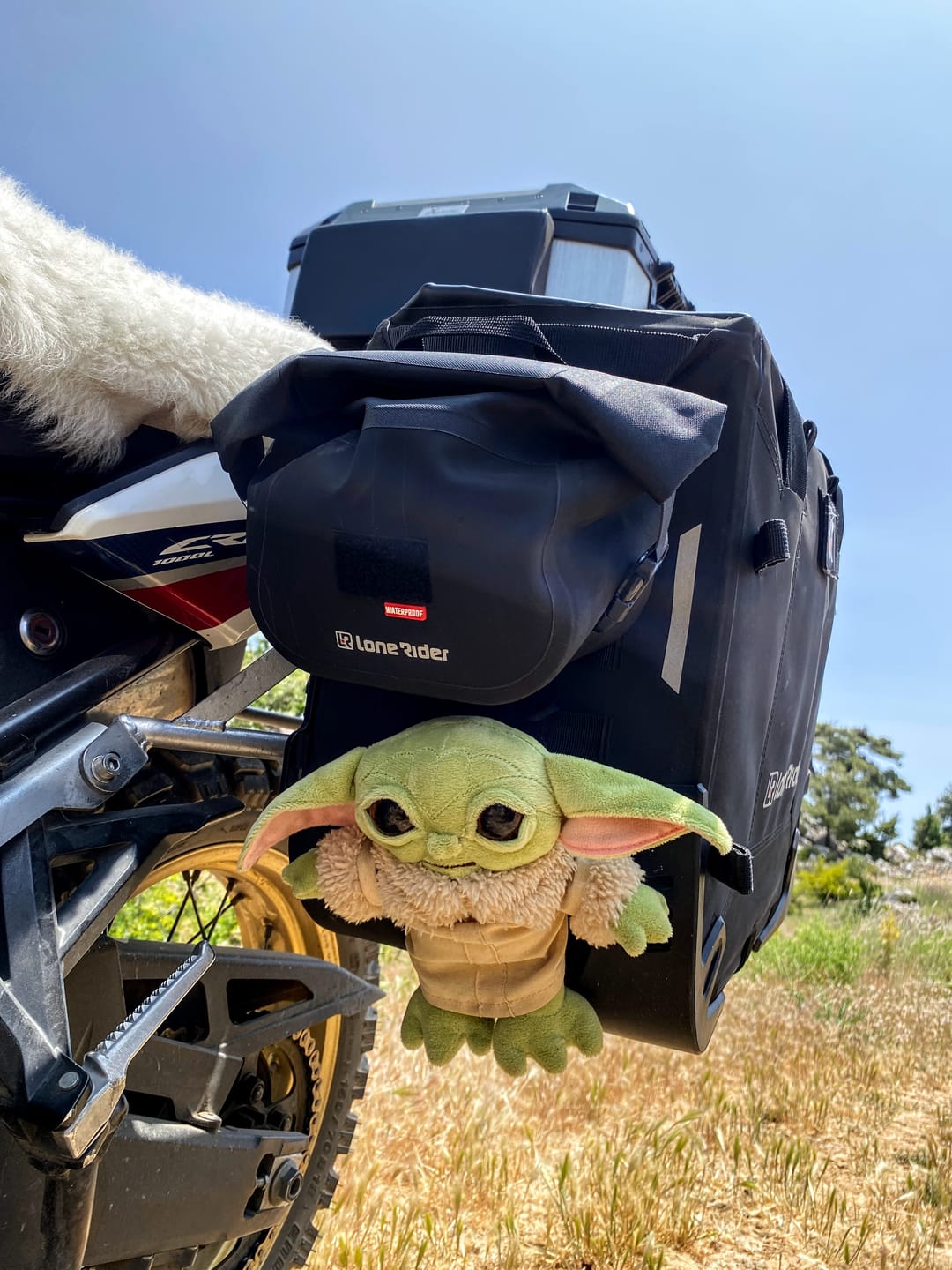 Customer photo review of MicroBag 2.5L