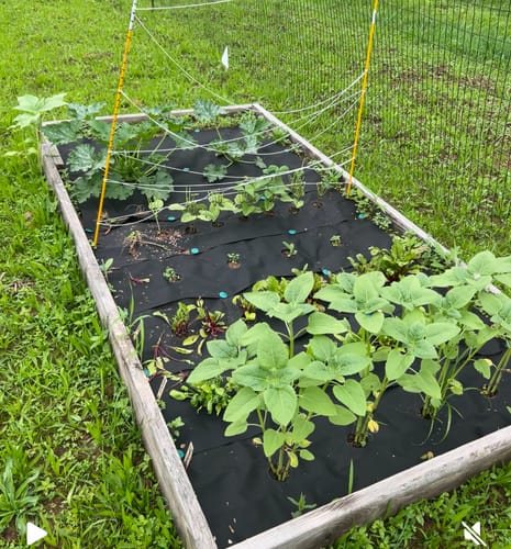 Customer photo review of Design Your Own Garden