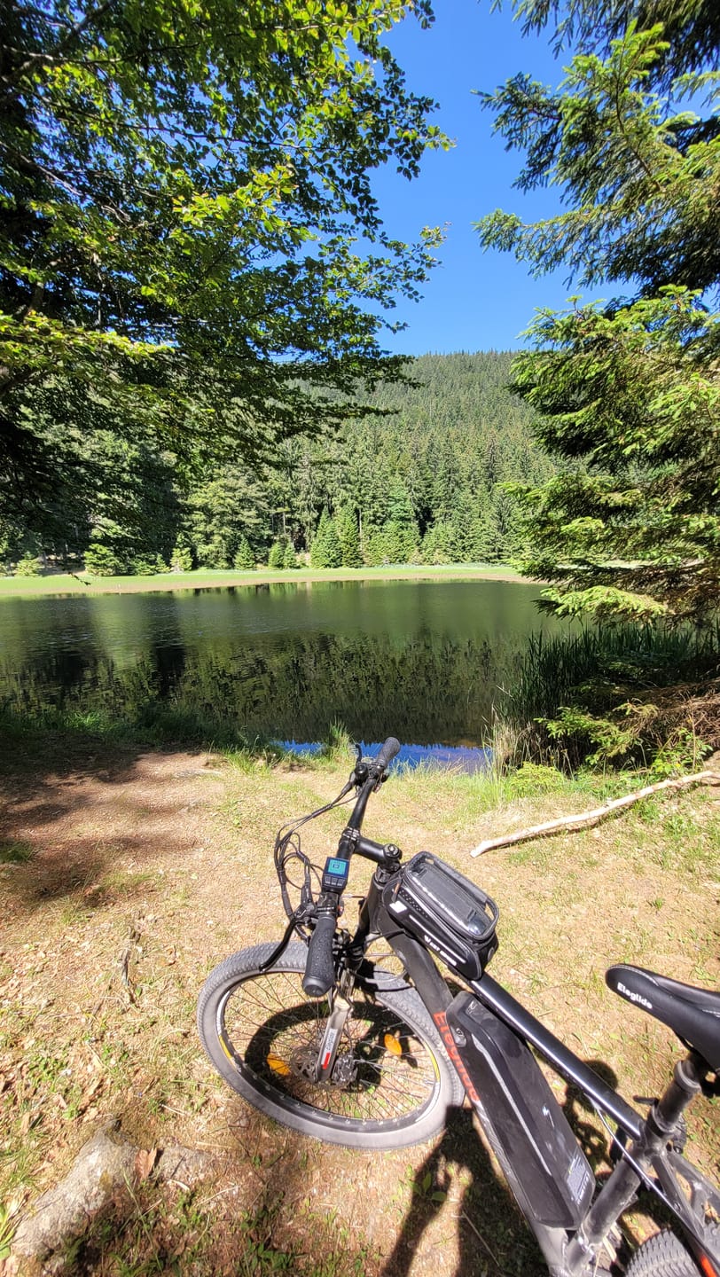 Customer photo review of Electric Mountain Bike Mopride 2