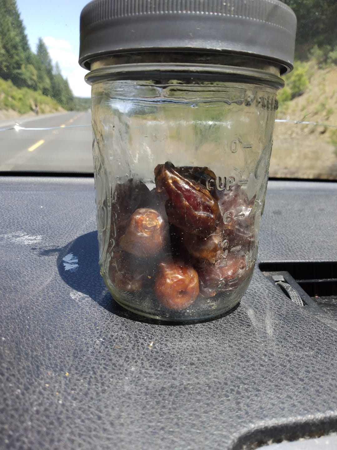 Customer photo review of Organic Mini Medjool Dates Box