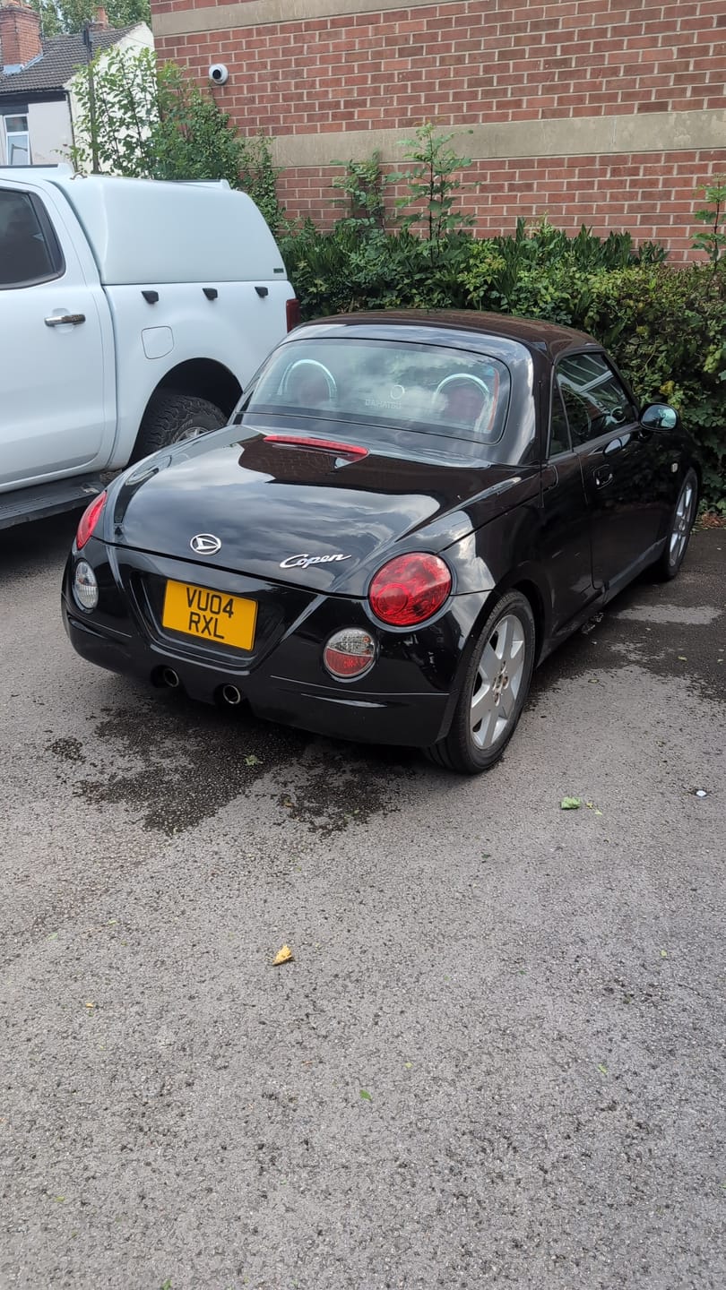Customer photo review of Metal Pressed Japanese Import Plate - 13 x 6