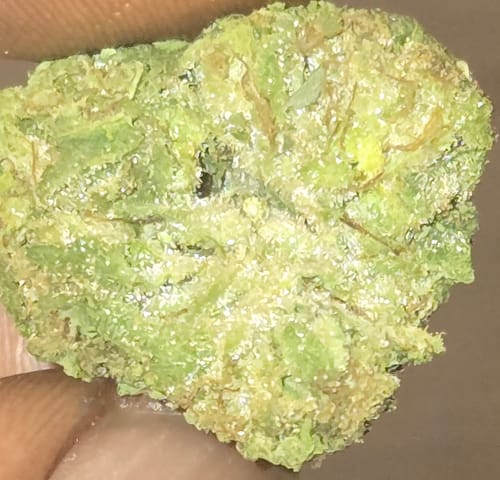 Customer photo review of THCA Queen