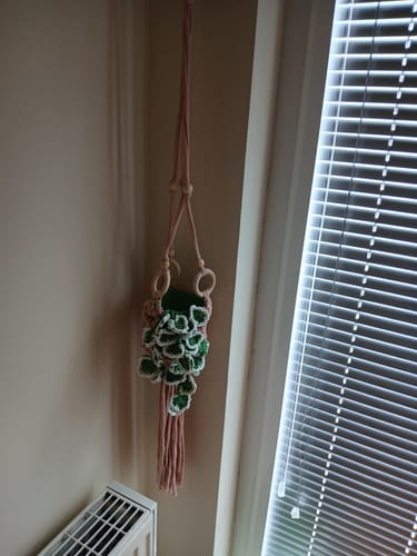 Customer photo review of Botanical Stitches Crochet Kit