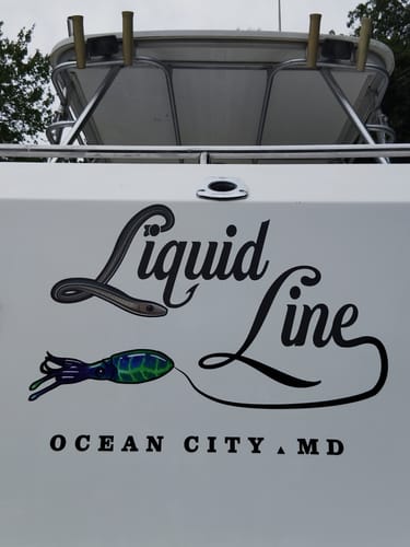 Customer photo review of Custom Digital Boat Name Logo Design