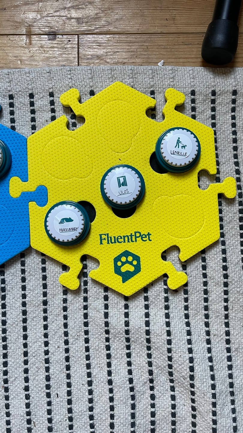 Customer photo review of HexTile - 8" (Bold).