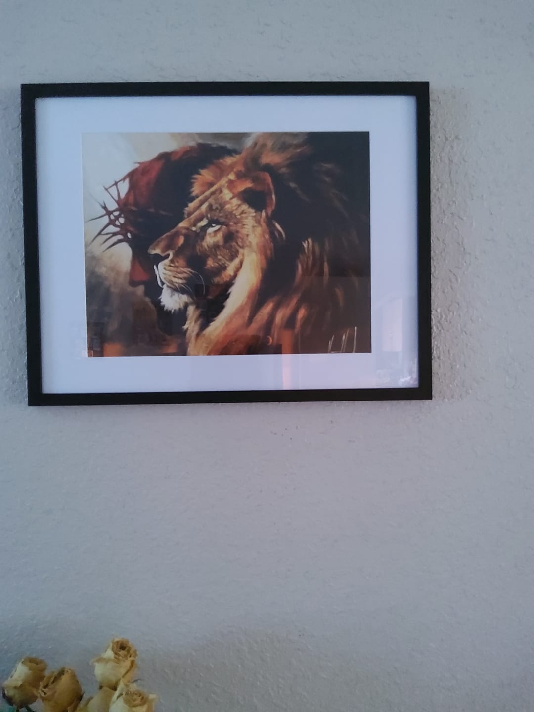 Customer photo review of The Lion of Judah (Peace and Strength)