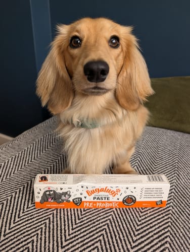 Customer photo review of Bugalugs Pre & Probiotic Digestive Paste for Dogs & Cats (30ml)