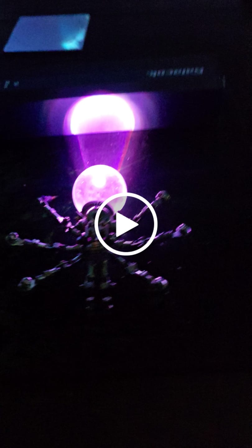 Customer video review of Crystal Lamp Jumping Spider