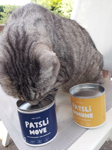 Customer photo review of Patsli Move