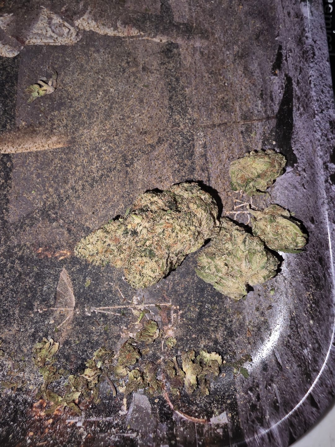 Customer photo review of Alaskan Thunderfuck