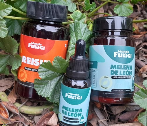 Customer photo review of Melena de León Cápsulas + Gotas - Extracto Ultra Concentrado