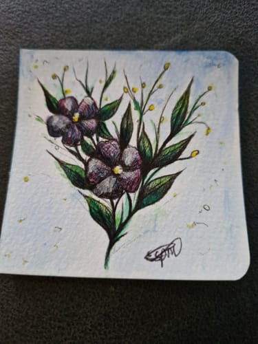 Customer photo review of Tobio's™ Watercolor Kit