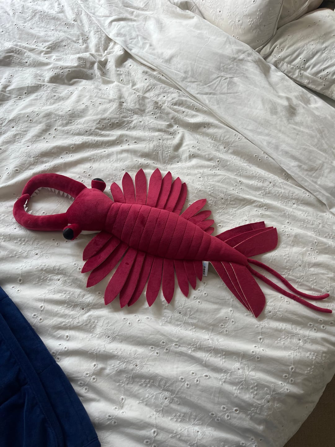 Customer photo review of Anomalocaris Arthropod Soft Stuffed Plush Toy