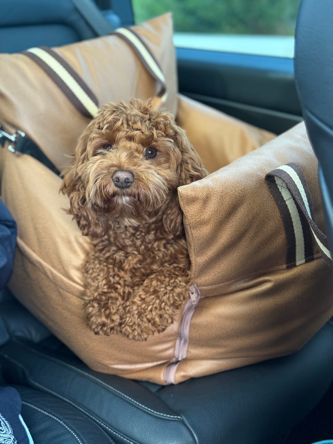 Customer photo review of Boujee Booster