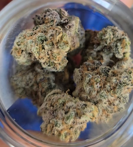 Customer photo review of Amsterdam Cheese