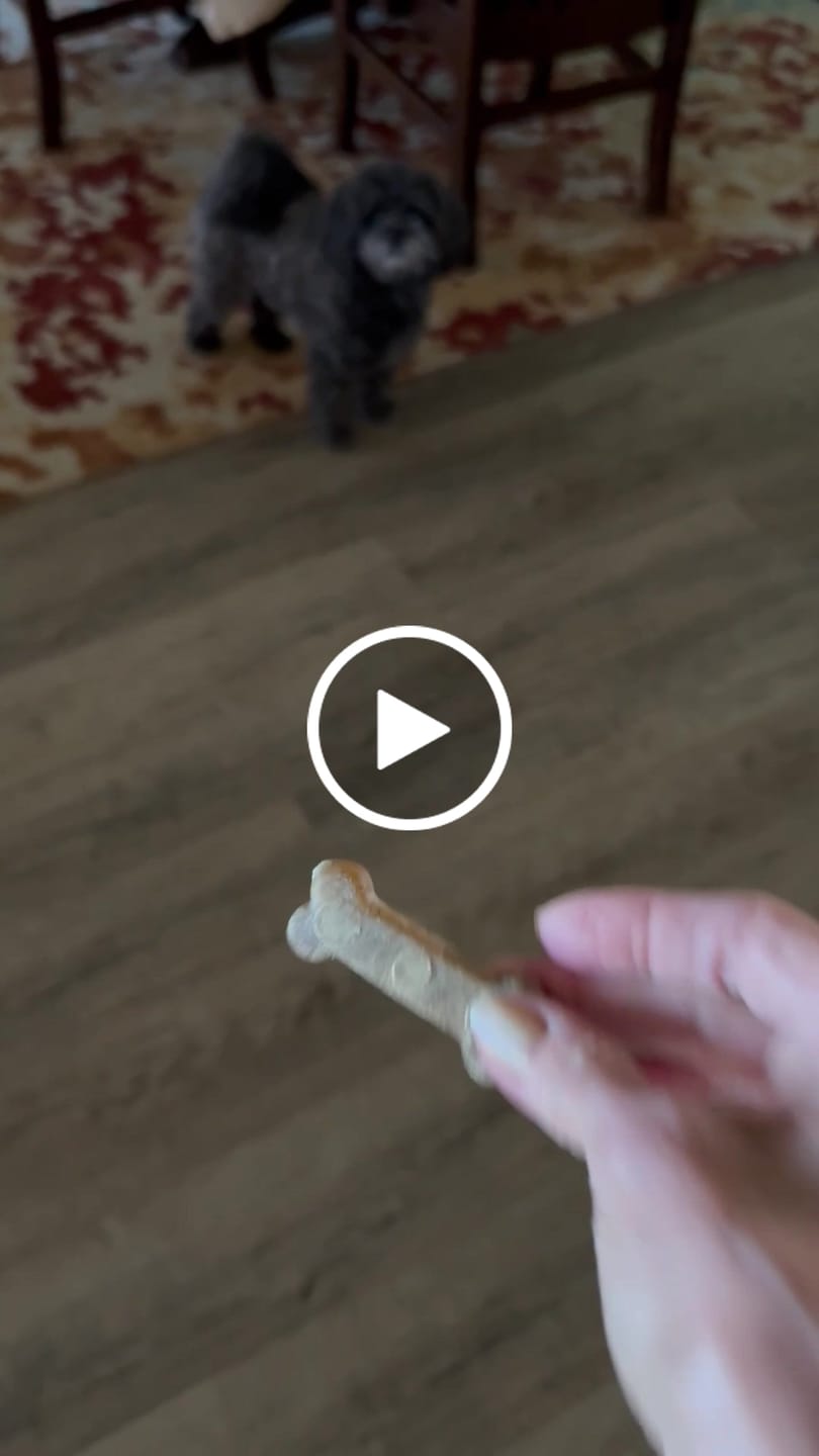 Customer video review of Earthbones Dental Chews For Dogs