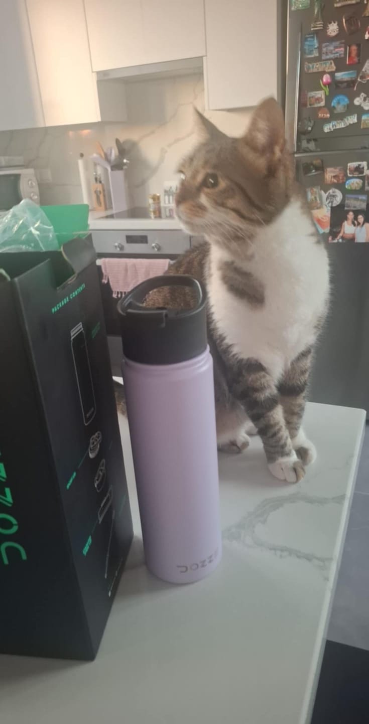 Customer photo review of DOZZE Voyager Water Bottle
