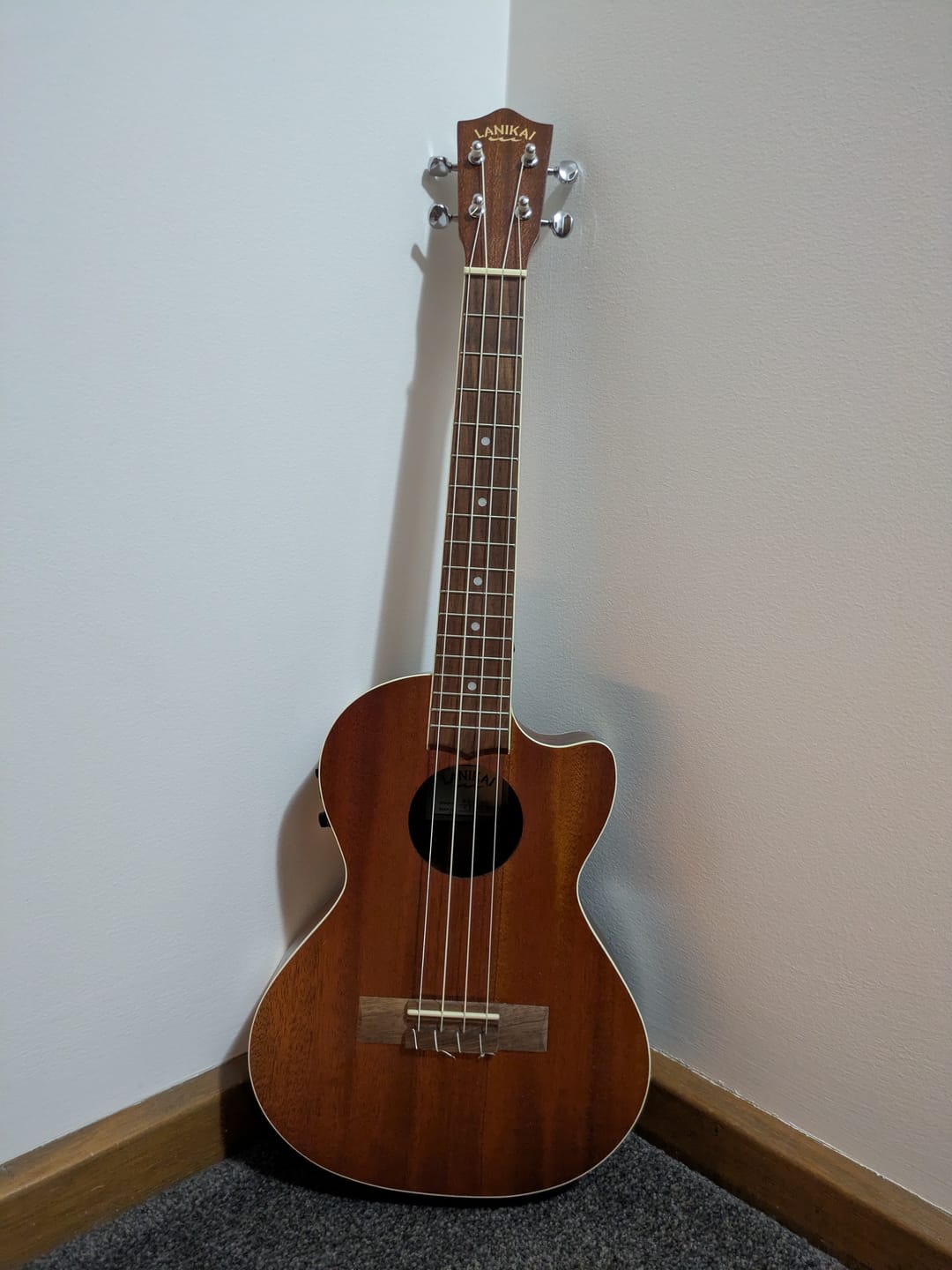 Customer photo review of AQ16U Aquila Tenor Low G 4th Ukulele String Wound Low G X 2