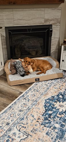 Customer photo review of Tough Plush - Triple Stitch