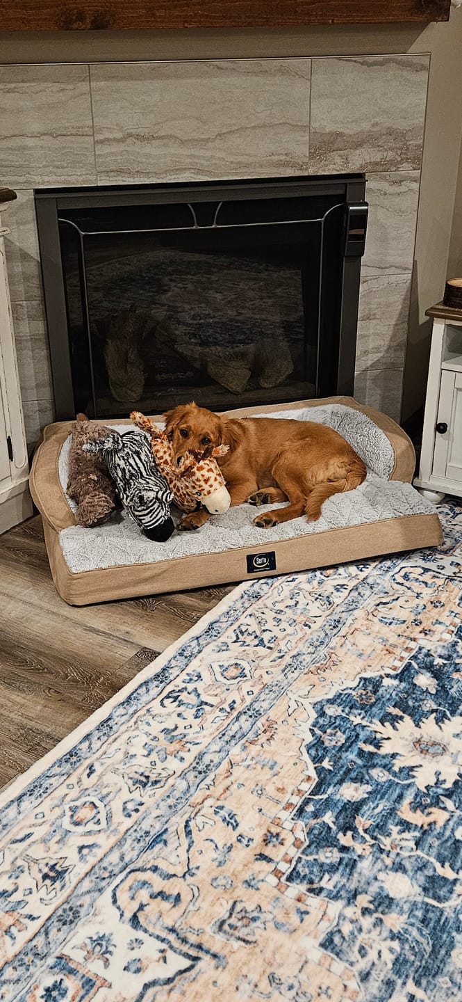 Customer photo review of Tough Plush - Triple Stitch