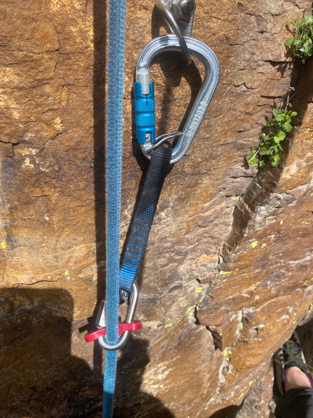 Customer photo review of Quicklink "Slide-Cinch" - Lead Rope Solo Anchor Tensioner